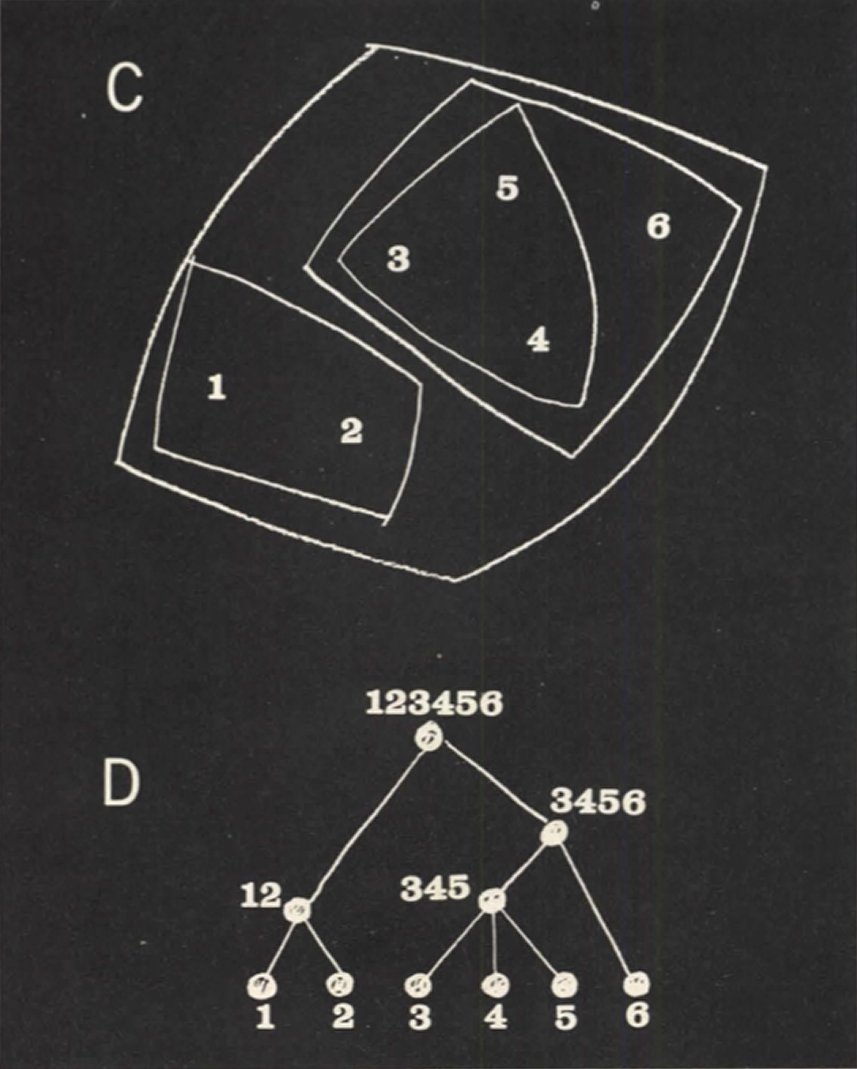 Diagram C: six numbered regions with nested outlines that never cross. Diagram D: the same sets arranged as a tree.
