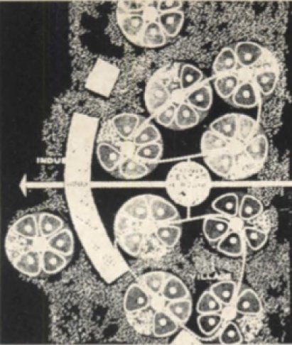 Plan of Columbia, Maryland: clusters of rounded neighbourhoods.