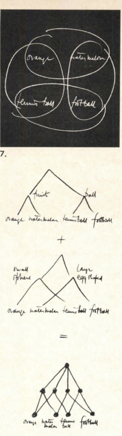 Hand-drawn figure: four overlapping loops labelled orange, watermelon, tennis ball, football; below, a tree grouping fruit and ball, plus a tree grouping small sphere and large egg-shaped, equals a semi-lattice over the four objects.